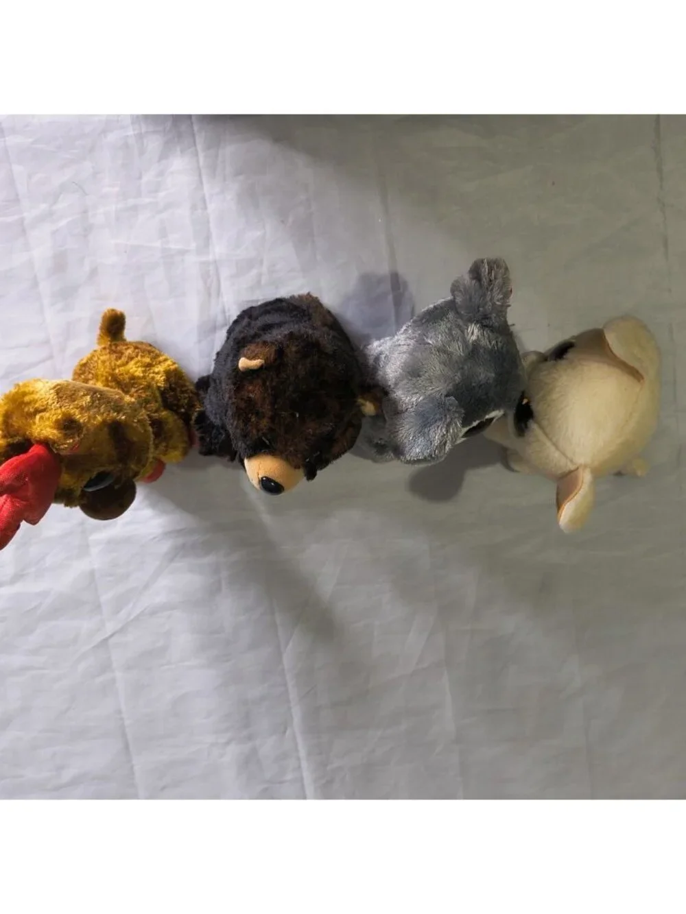 Ty Beanie Boos Animals Lot Of 4 Kid Pretend Play Katy Koala, Kodi, Chewey, Maple